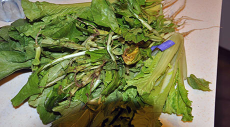 餐廚爛菜葉子垃圾